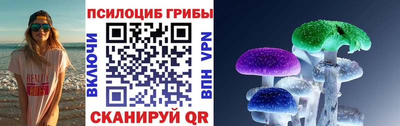 Галлюциногенные грибы мицелий  даркнет сайт  Бабушкин 